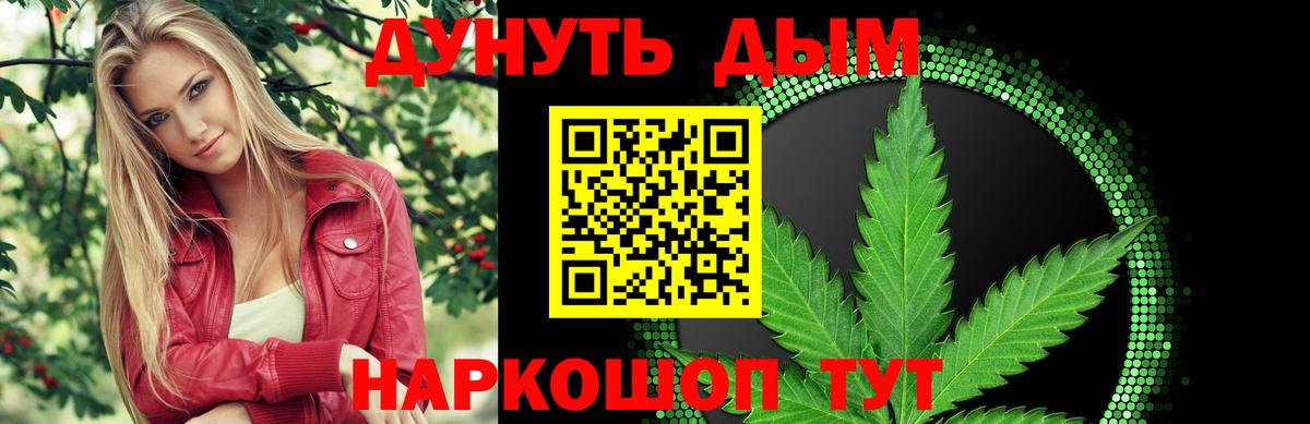 Канабис конопля  Бошки марихуана план  Канаш  Вход с VPN 