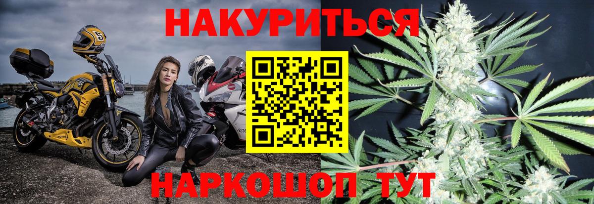 Шишки марихуана гибрид Канаш